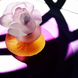 Ça Sent Beau / Kenzo (Eau de Toilette) - Kenzo