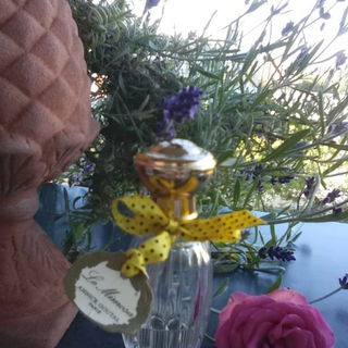 Le Mimosa by Goutal