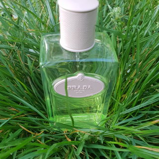 Infusion d'Iris L'Eau d'Iris by Prada