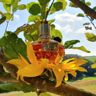 Flowerbomb Nectar - Viktor & Rolf