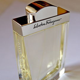Salvatore Ferragamo pour Homme (Eau de Toilette) - Salvatore Ferragamo