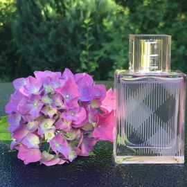 Brit Sheer - Burberry