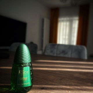 Pino Silvestre (Eau de Toilette) by Pino Silvestre