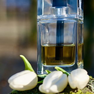 Dior Homme Original (2011) (Eau de Toilette)