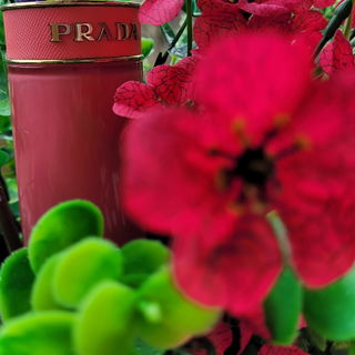 Candy Gloss (Eau de Toilette) - Prada