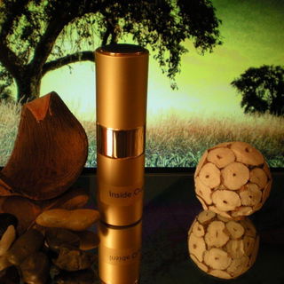 Inside Out (Eau de Parfum) - The Gate