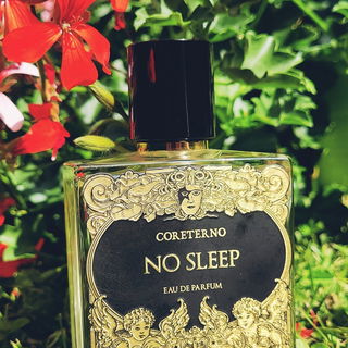 No Sleep von Coreterno