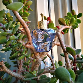 Lolita Lempicka (Eau de Parfum) (2012) von Lolita Lempicka