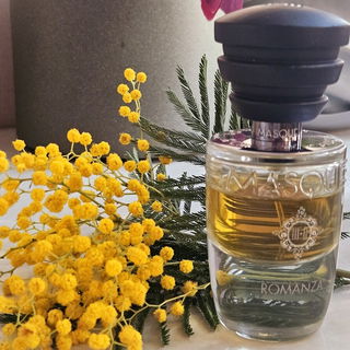Infusion de Mimosa - Prada
