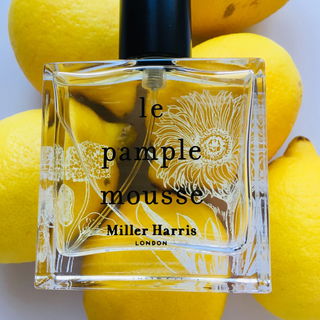 Le Pamplemousse von Miller Harris