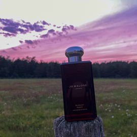 Scarlet Poppy - Jo Malone