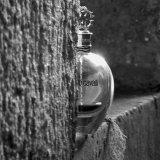 Roberto Cavalli (2012) - Roberto Cavalli