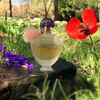 Shalimar Parfum Initial L'Eau von Guerlain