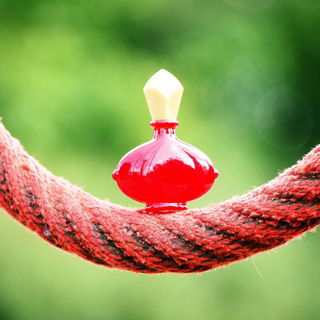 Danke an alle für die Kommentare und Auszeichnungen