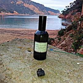 Grey Flannel de Geoffrey Beene . www.sobelia.com