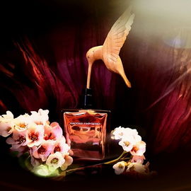 For Her Musc Collection - Narciso Rodriguez