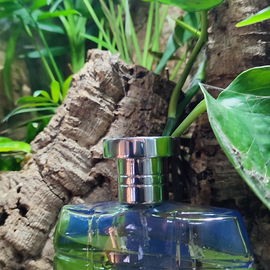 Entebaa pour Homme - Rasasi / الرصاصي