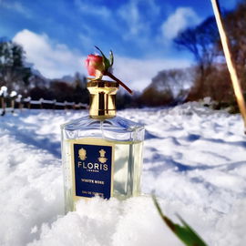 White Rose (Eau de Toilette) - Floris