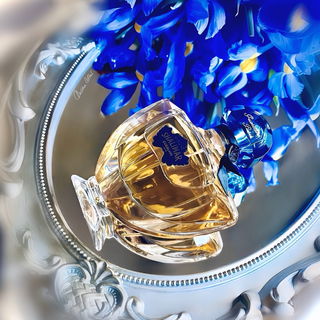 Vielen Dank meine Lieben💙🩵🤍