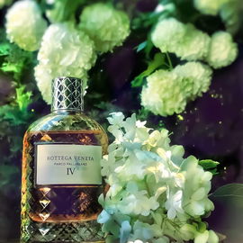 Parco Palladiano IV: Azalea - Bottega Veneta