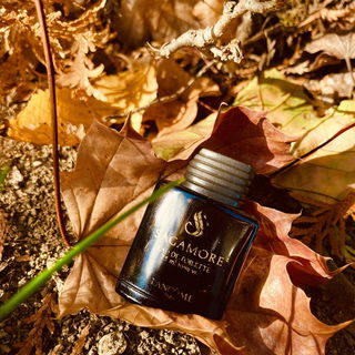 Sagamore (Eau de Toilette)