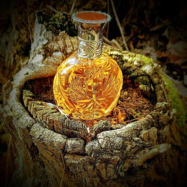 Safari (Eau de Parfum) - Ralph Lauren