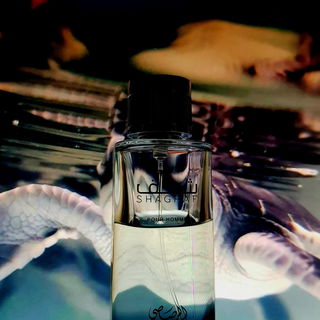 Shaghaf pour Homme - Rasasi / الرصاصي