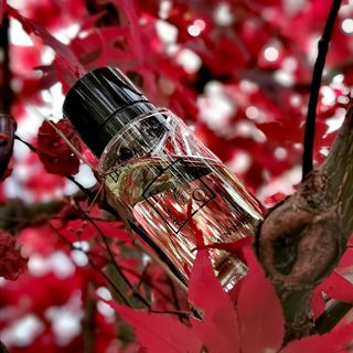 Vielen Dank an Euch alle für die lieben Worte und Auszeichnungen! Es freut mich sehr, wenn es Euch gefällt :-)