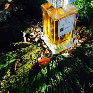 Flibustier (Eau de Parfum) - Galimard