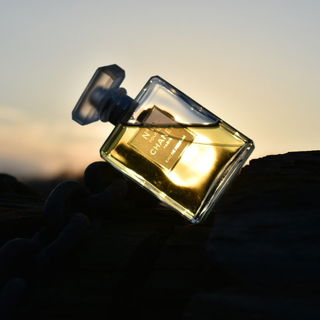 N°19 Poudré by Chanel