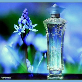 Meï Lí - ID Parfums
