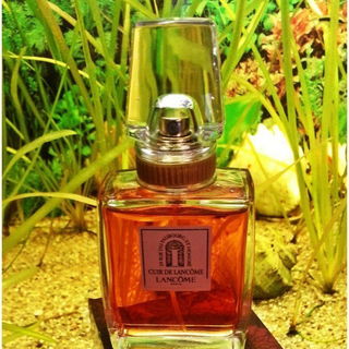 Cuir de Lancôme von Lancôme