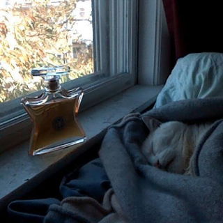 Nuits de Noho (Eau de Parfum) - Bond No. 9