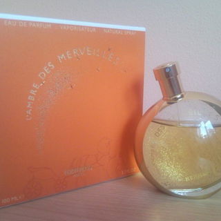 L'Ambre des Merveilles by Hermès