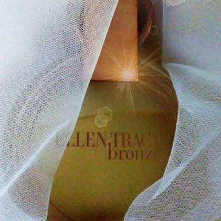 Bronze (Eau de Parfum) - Ellen Tracy