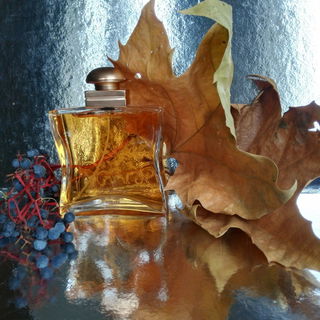 Mania (Eau de Parfum) - Giorgio Armani