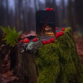 Wolf (Eau de Parfum) - Wolf Brothers