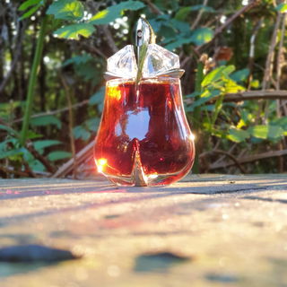 Alien Essence Absolue von Mugler