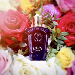 Instagram: about_scents