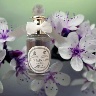 Luna (Eau de Toilette) von Penhaligon's