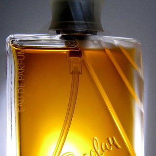 Nino Cerruti pour Homme (Eau de Toilette) - Cerruti