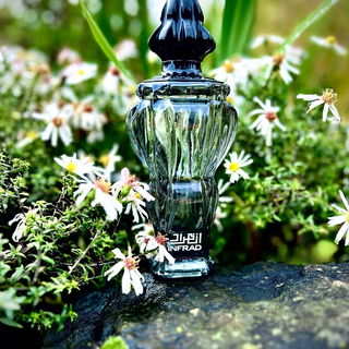 …📷🌍 Thank you. Danke schön. Merci beaucoup. Muchas gracias. Dōmo arigatō gozaimasu 💐…