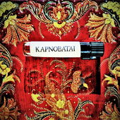 Der Schamane im Indienladen (von Floyd)