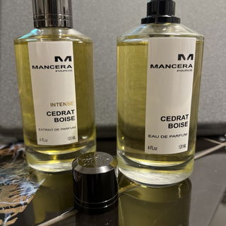 Intense Cedrat Boise - Mancera