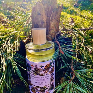 46°N 08°E by Richard Lüscher Britos