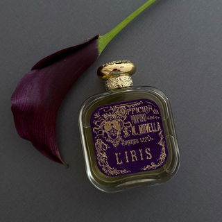 L'Iris - Santa Maria Novella