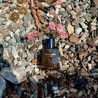 Hero (Eau de Parfum) - Burberry