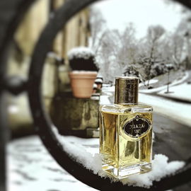 Infusion d'Iris Absolue - Prada
