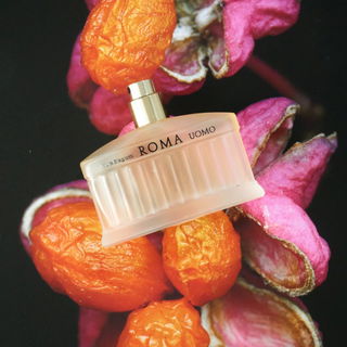 splendore dei fiori da roma