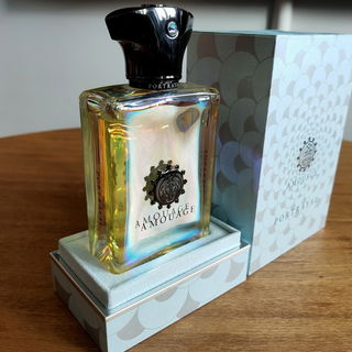 Portrayal Man by Amouage